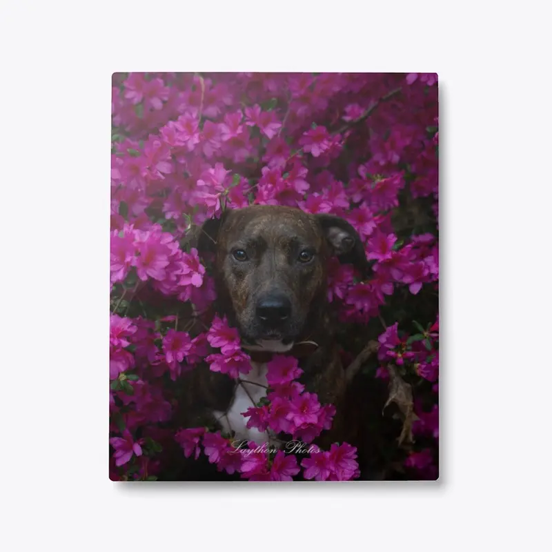 DOG OF FLOWERS